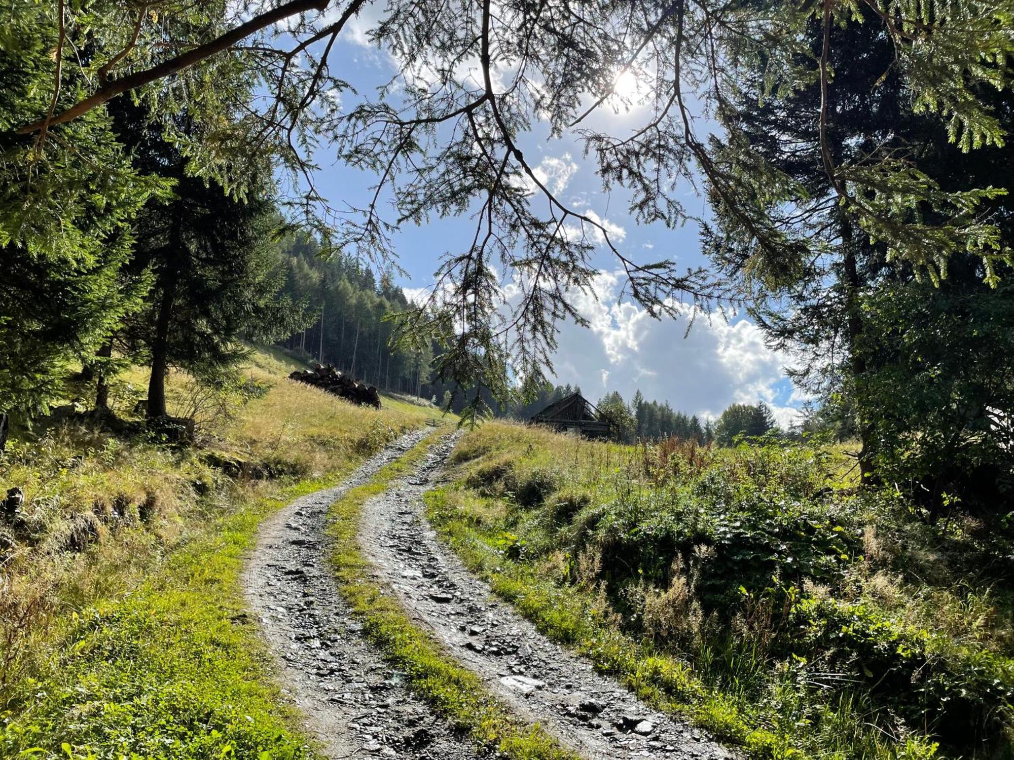 Вілла Tobadillerhof Веннс Екстер'єр фото