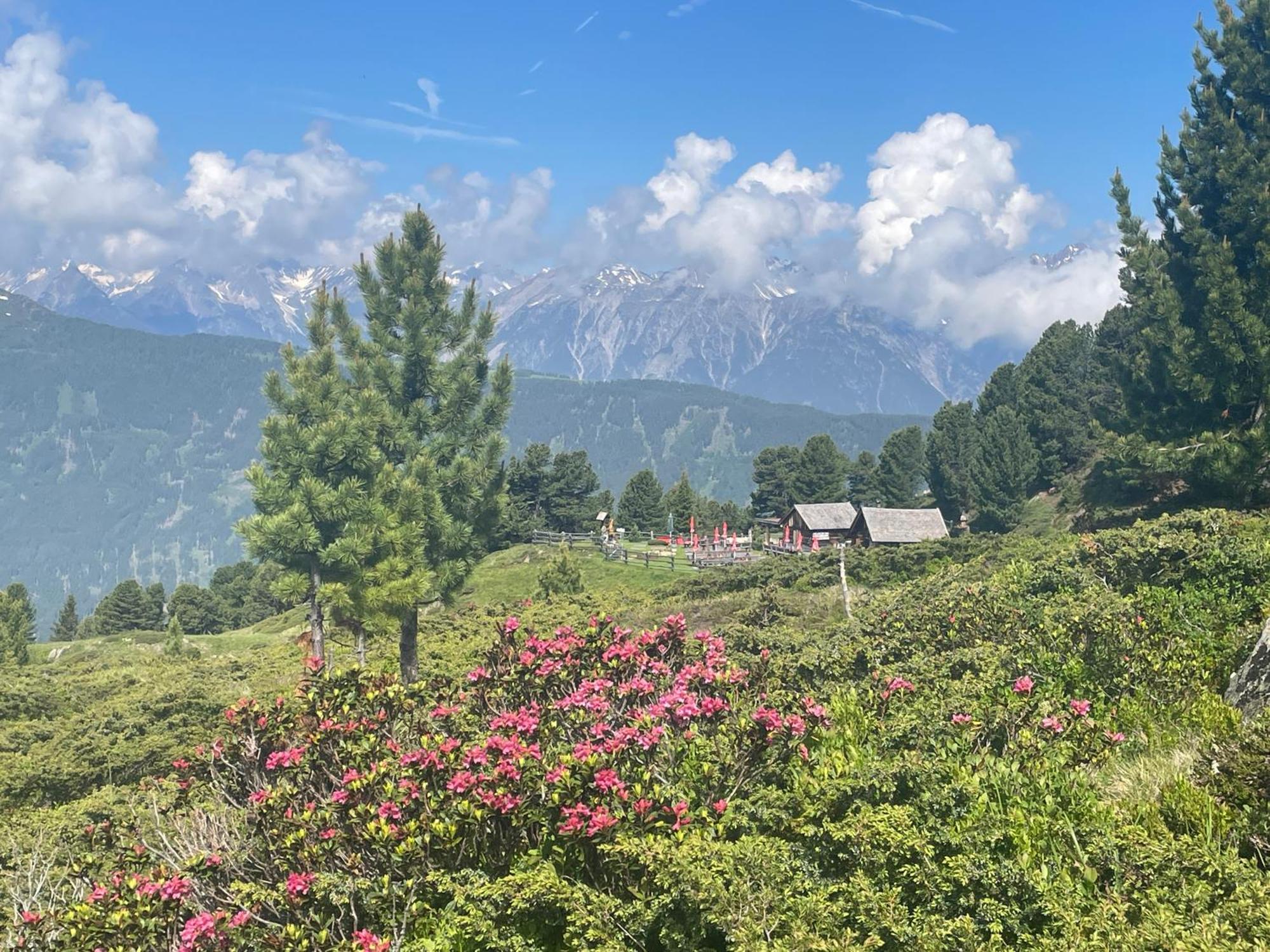 Вілла Tobadillerhof Веннс Екстер'єр фото